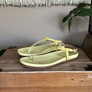 Sam Edelman Naomi Butter Yellow Croc Thong Angle Strap Thong Flat Sandal Size 8